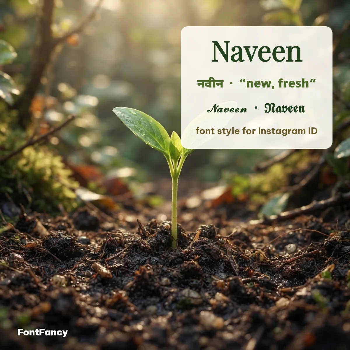 Naveen Font Style — Stylish Naveen Name for Instagram, Copy & Paste