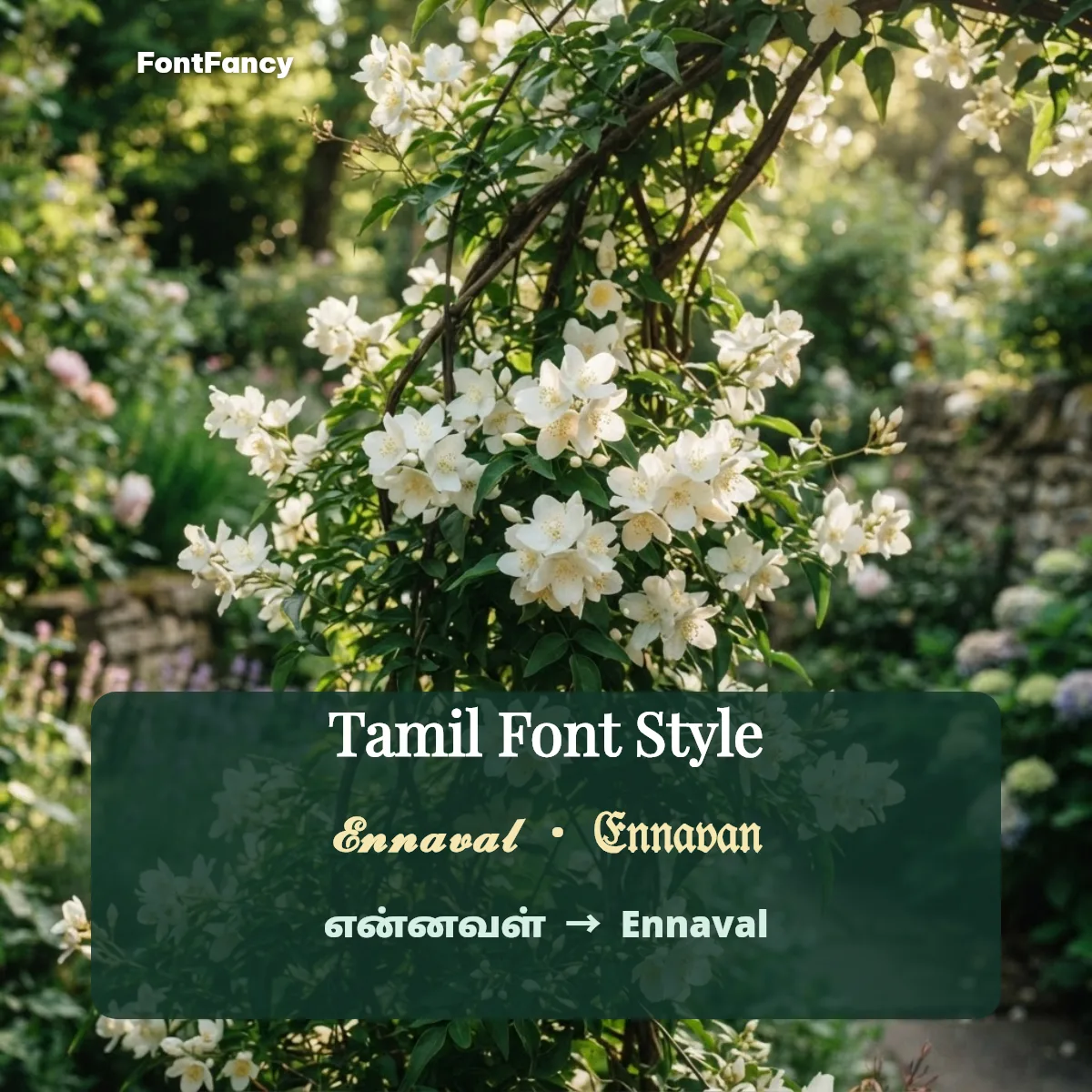 Tamil Font Style — Ennaval, Uyir Natpu & Tanglish Text in Fancy Fonts