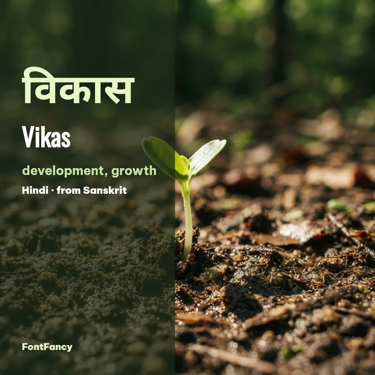 Vikas in Hindi विकास, meaning development and growth